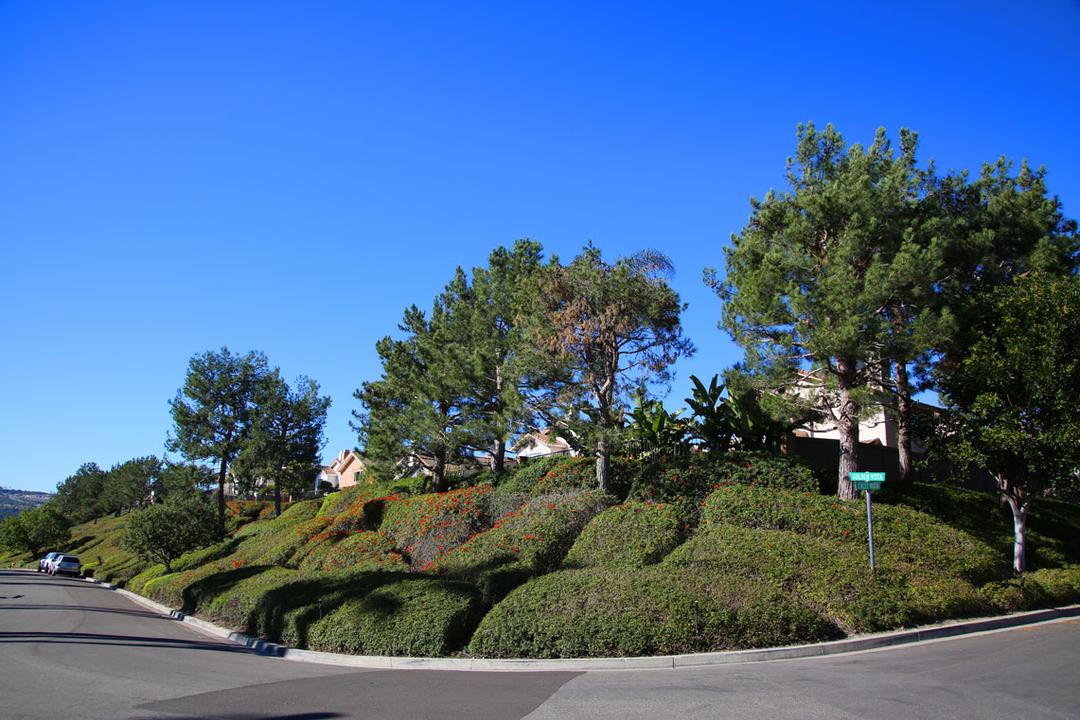 Work Image